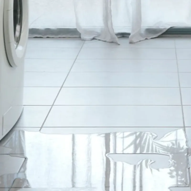Appliance Leak Cleanup in Fairfield, IL