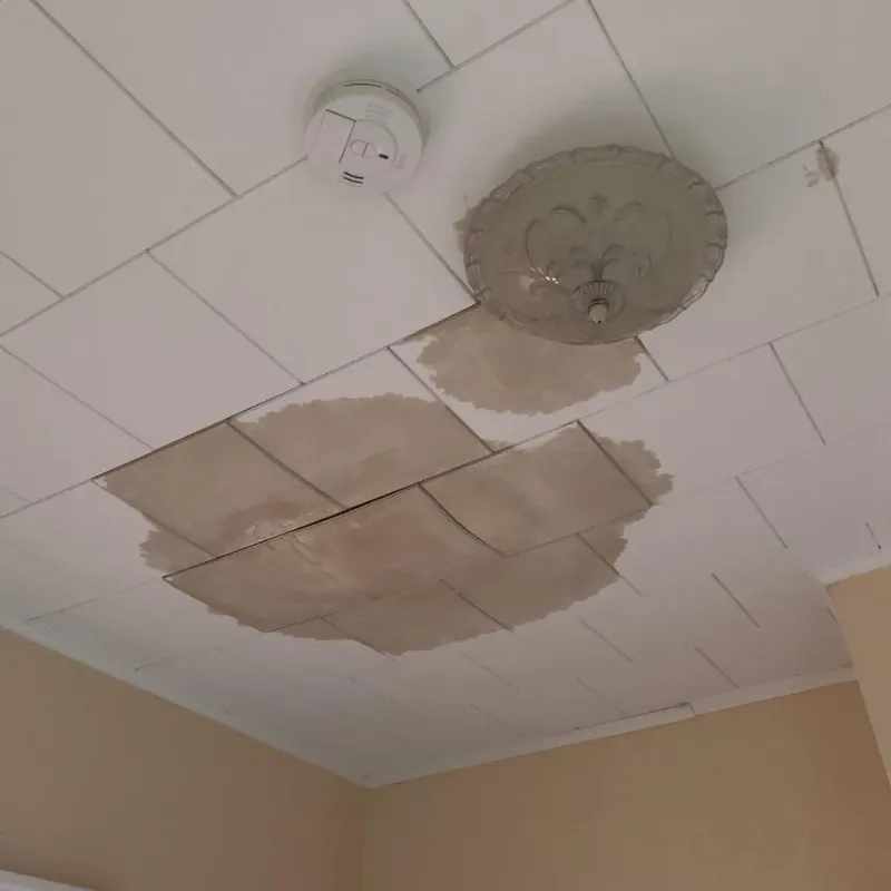 Ceiling Water Damage Repair in Fairfield, IL