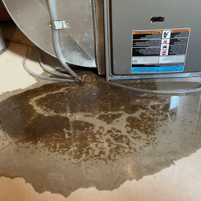 Pipe Burst and Leak Restoration in Fairfield, IL