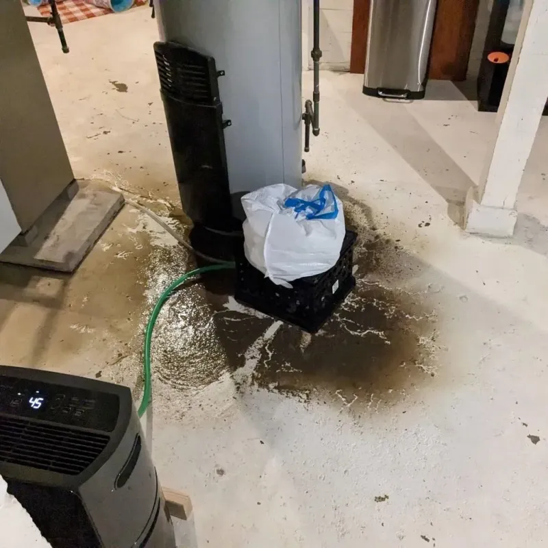 Sewage Backup Cleanup Service in Fairfield, IL
